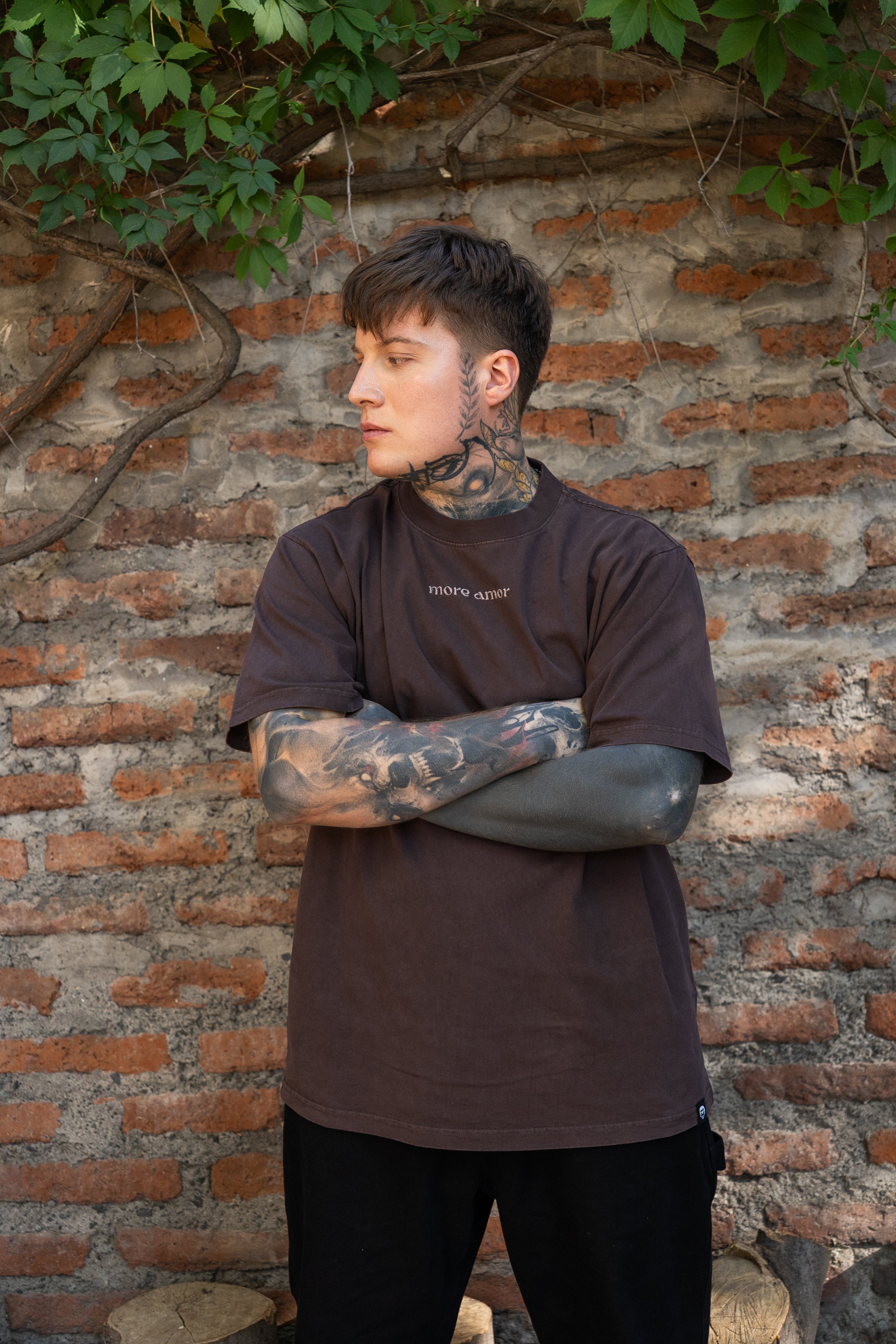 Polera 250 gr Pharaos Horses Café | DimeDarko